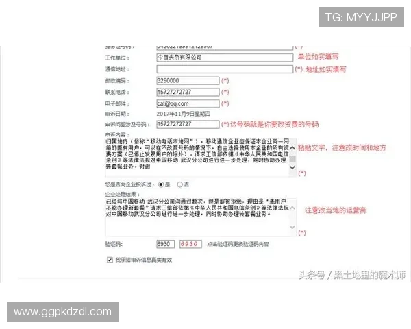 pock集团会员注册流程简便指南，帮助新用户快速完成注册