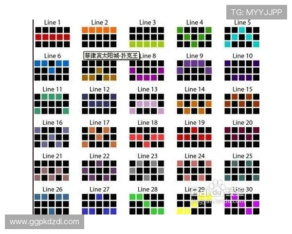 扑克王：多样化扑克游戏玩法满足不同玩家需求